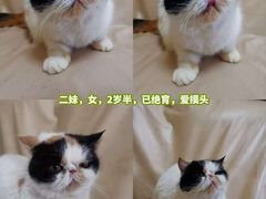 -江南西(地铁站)
