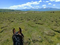 -新疆那拉提国家旅游度假区