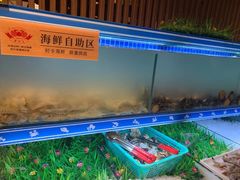 -蟹将军·松叶蟹和牛日料放题自助(K11店)