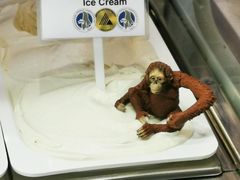 -Dooley's Premium Ice Cream