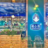 好吃又便宜的泰式家常菜