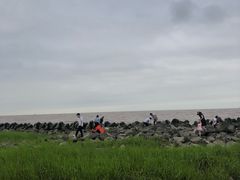 -南汇嘴观海公园