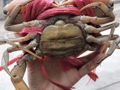 -越溪乡王干山村文化活动中心