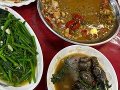 -遇龙河大樟树农家乐