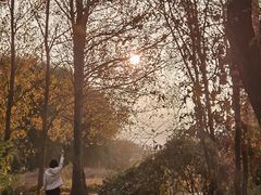-黑龙江省森林植物园