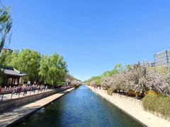 -元大都城垣遗址公园