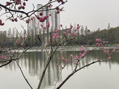 -圩墩遗址公园