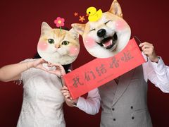 -bobo高端证件照工作室(三元桥店)