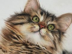 -八哥美术·成人美术画室(总校区)