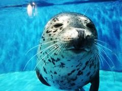 -成都浩海立方海洋公园