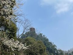 -青城山