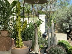 -自由生长植物工作室(深港花卉中心店)