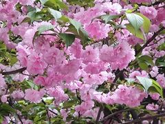 -长沙市青少年宫