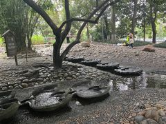 -成都市活水公园