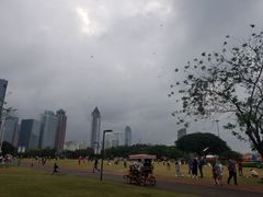 -万绿园
