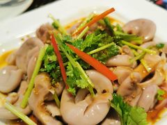 -新兴·金羊座·粤菜点心(乐峰店)