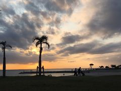 -美国村