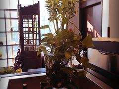 -蔓兰家的四季S0餐厅·融合菜(当代MOMA店)