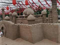 -南宫五洲植物乐园