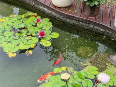 -锦成府·精选淮扬菜(老门东1865店)