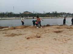 -九龙湖公园