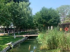 -春风习习