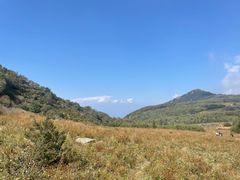 -白草畔自然风景区