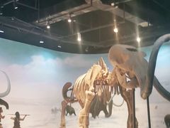 -辽宁古生物博物馆