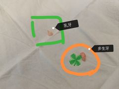 -上海交通大学医学院附属第九人民医院(浦东院区)