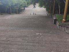 -三峡梯城