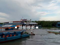 -洞里萨湖