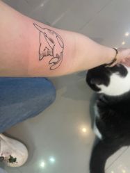 -TATTOO/手工穿孔吧/耳洞/刺青STUDIO