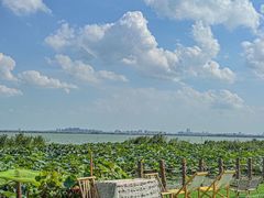 -七的湖·晚芳亭·阳澄湖农家菜·大闸蟹(莲花岛店)