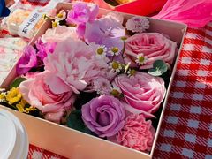 -长白岛森林公园