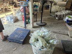 -马陆小张葡萄园农家乐