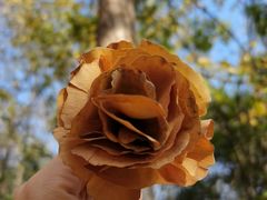 -合肥三国新城遗址公园