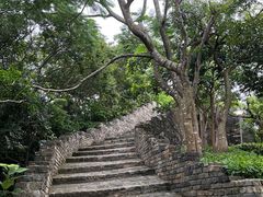 -小南山公园