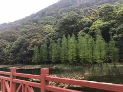 -广州市石门国家森林公园