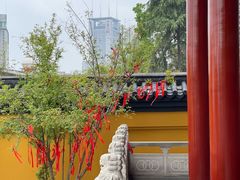 -宝通禅寺
