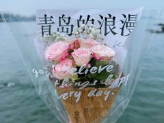 -小麦岛公园