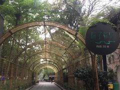 -院子餐厅·大锅菜·老杭帮(桥西直街店)