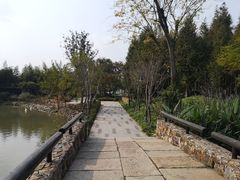 -田园东方蜜桃村的田野营地