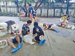 -TrueLove @ Neverland (Husky Cafe)