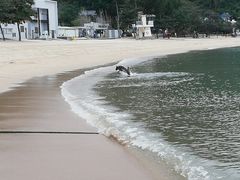 -香港银矿湾渡假酒店