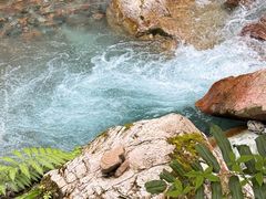 -西岭雪山大飞水景区