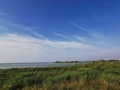 -合肥滨湖国家森林公园