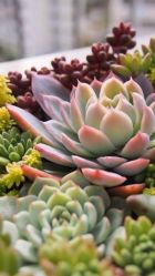 -ＤＯＭＯプロの美容サロン