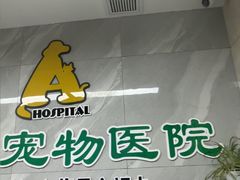 -半岛宠物医院24小时(白果林店)