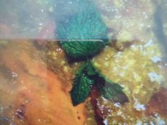 -隐食私房菜(渡口·光荣院南门·老街店)