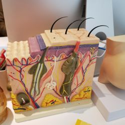 -常熟时代医疗美容